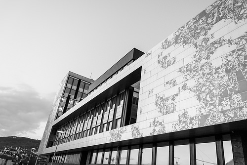 Høyskolen i Bergen Facade