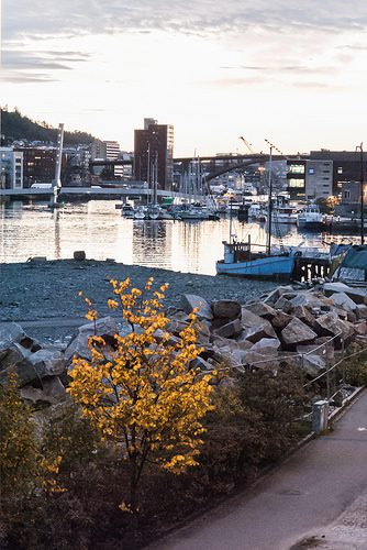 Sidewalk by Solheimsviken Bay
